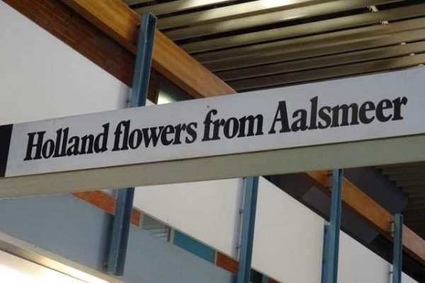 Как работает цветочный аукцион в Аалсмеере