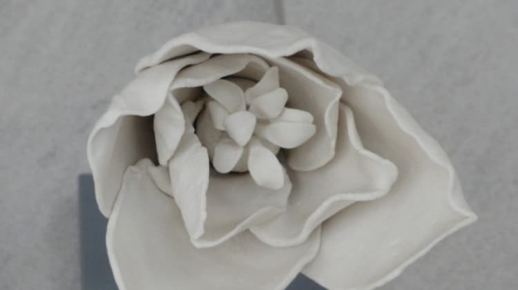 Image 14