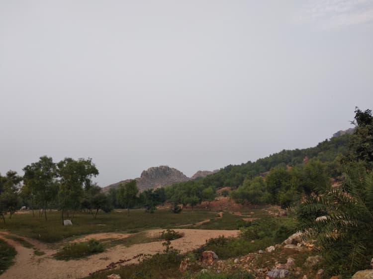 Image 26
