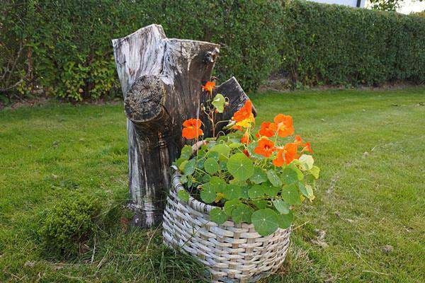 Хорошо зафиксированный пациент в наркозе не нуждается