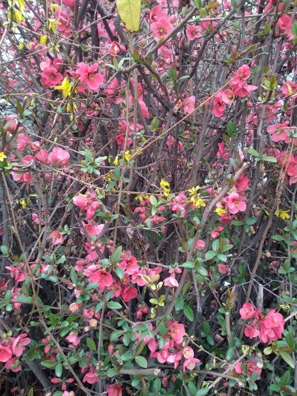 Путь из Москвы в Индию. Часть 2