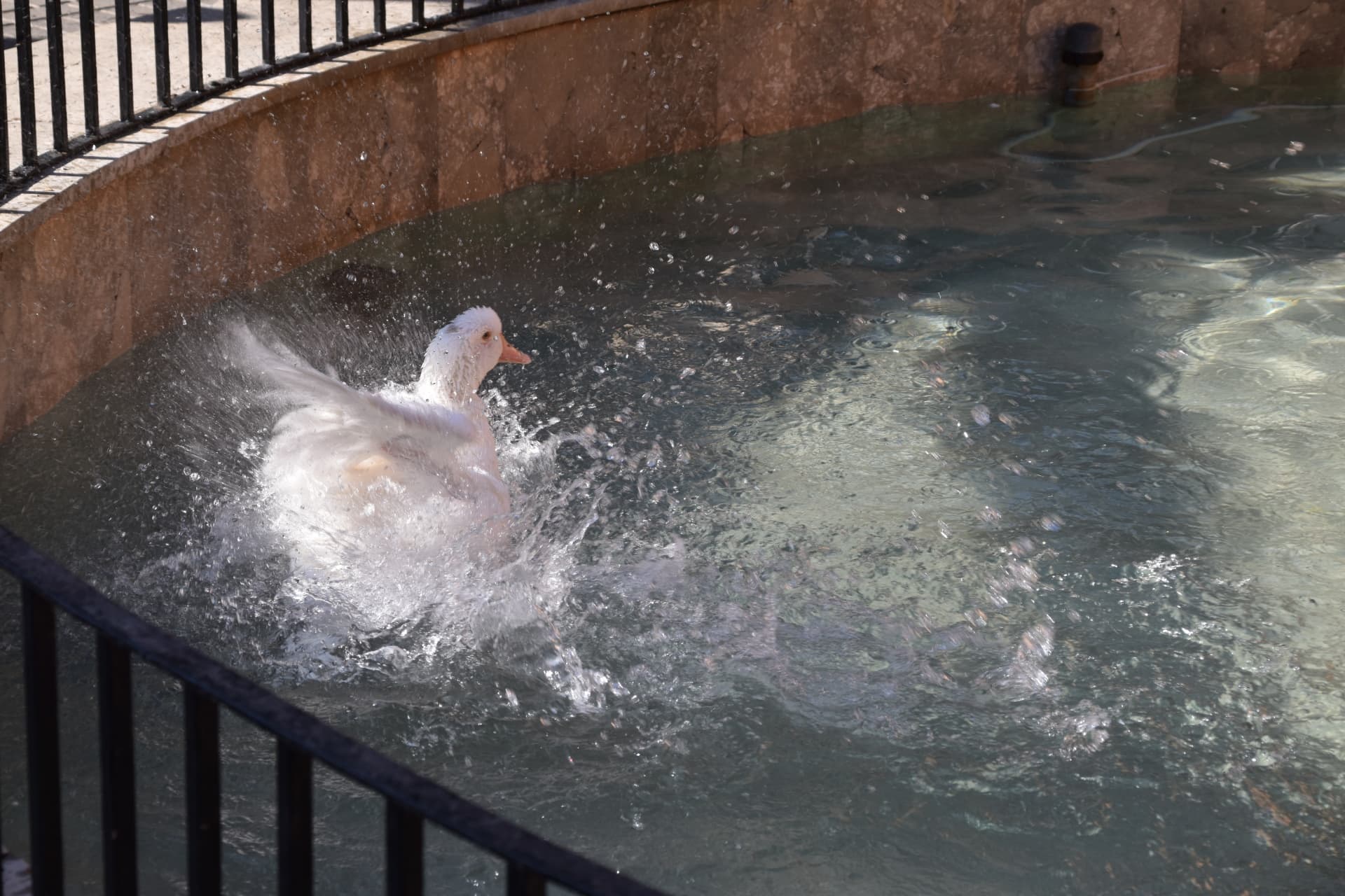 ПРАВИЛО ТРЕХ СТРАНИЦ