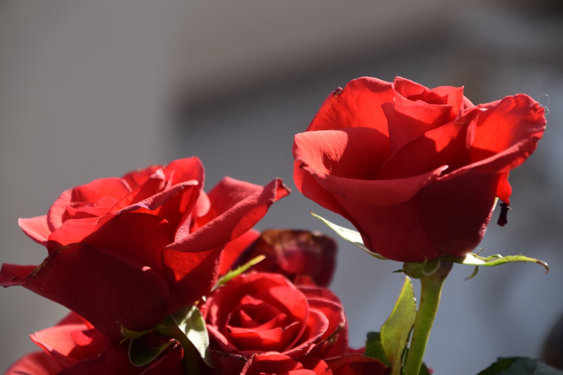 ДЕПРЕССИВНОЕ