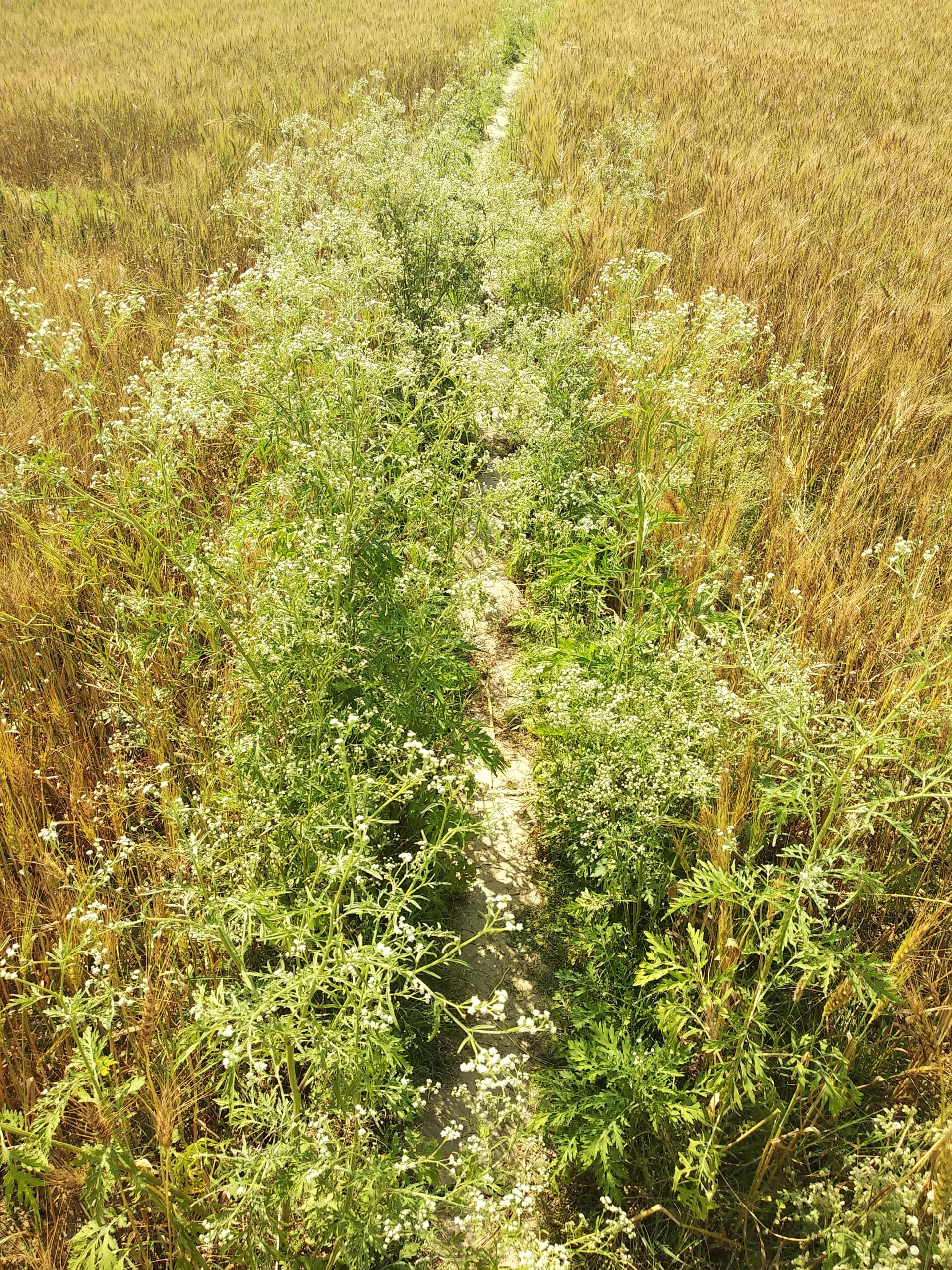 Без истерик, просто жизнь