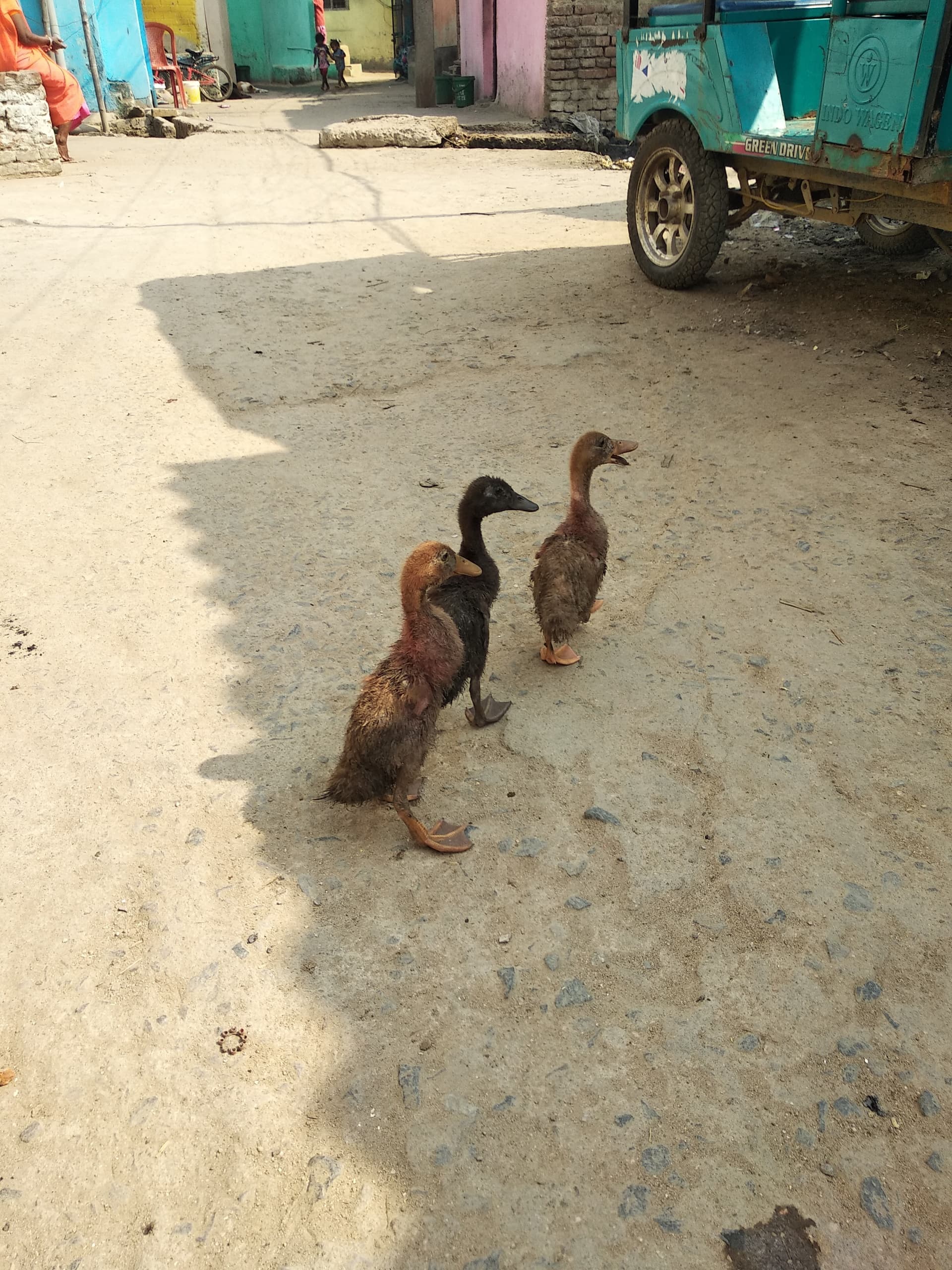 Людей в Бодх-гае стало меньше, а работы — нет