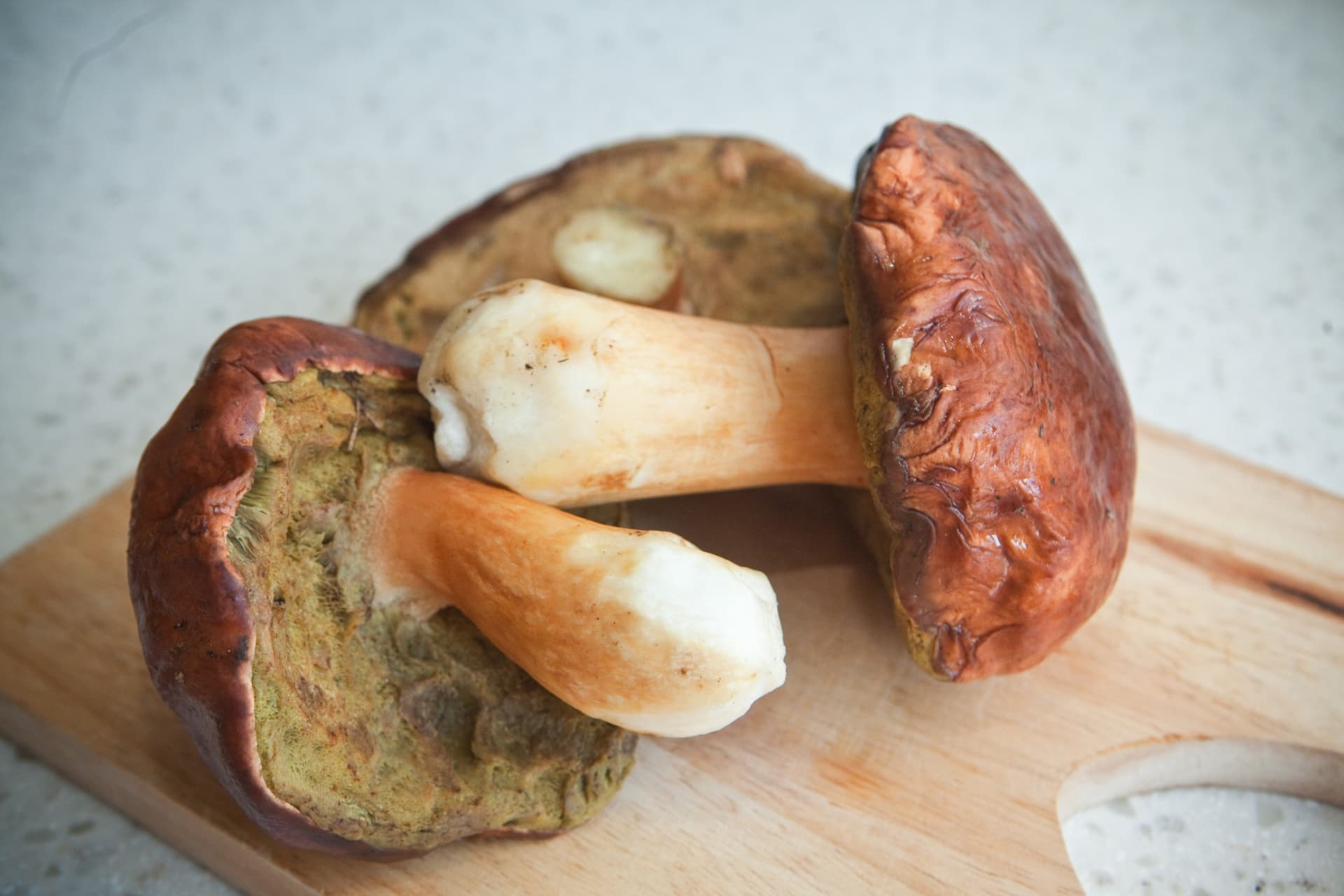 Cream of Mushroom Soup