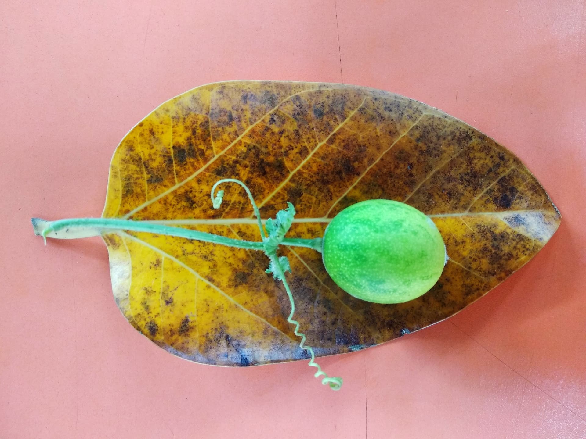 Чего бы поесть?