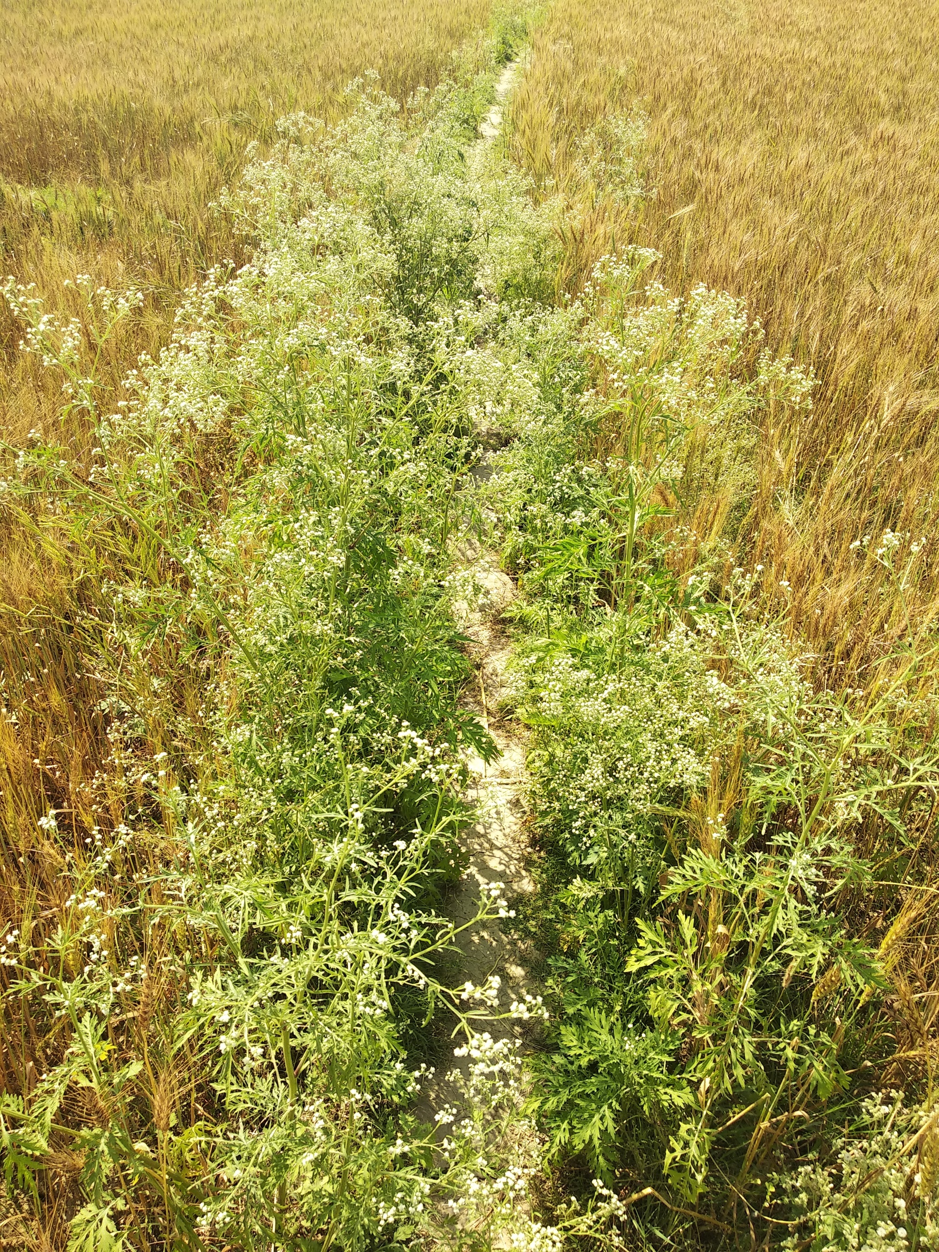 Без истерик, просто жизнь