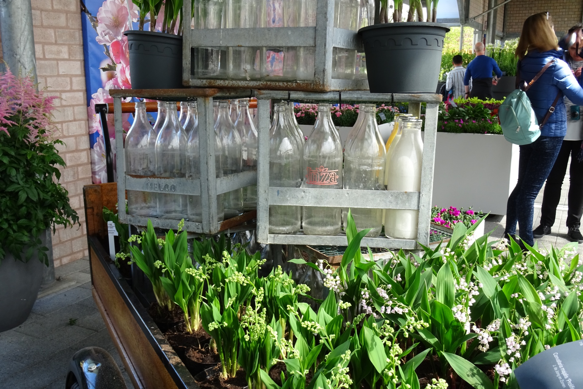 ПРО МОЙКУ И МОЙЩИКОВ